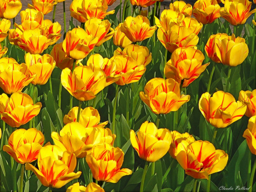 428329 (a): :1600x1200